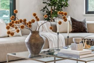 Single Family Residence, Denmark street, Sonoma, CA 95476 - 22