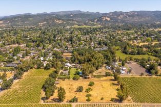 Single Family Residence, Denmark street, Sonoma, CA 95476 - 58