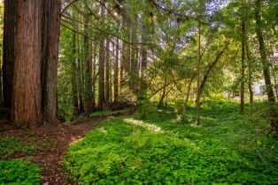 Single Family Residence, Occidental road, Sebastopol, CA 95472 - 52