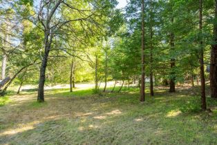 Single Family Residence, Occidental road, Sebastopol, CA 95472 - 55