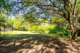 Single Family Residence, Occidental road, Sebastopol, CA 95472 - 53