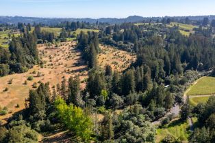 Single Family Residence, Occidental road, Sebastopol, CA 95472 - 45