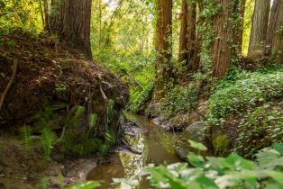 Single Family Residence, Occidental road, Sebastopol, CA 95472 - 49