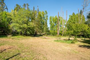 Single Family Residence, Occidental road, Sebastopol, CA 95472 - 42