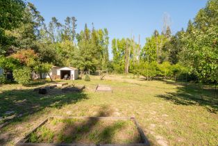 Single Family Residence, Occidental road, Sebastopol, CA 95472 - 41
