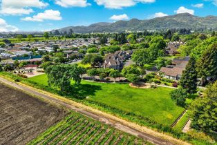 Single Family Residence, Oak circle, Yountville, CA 94599 - 44