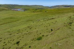 Agriculture,  Highway 1 none, Bodega Bay, CA 94923 - 22