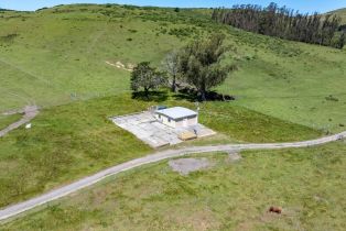 Agriculture,  Highway 1 none, Bodega Bay, CA 94923 - 16