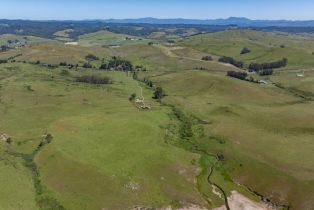 Agriculture,  Highway 1 none, Bodega Bay, CA 94923 - 20