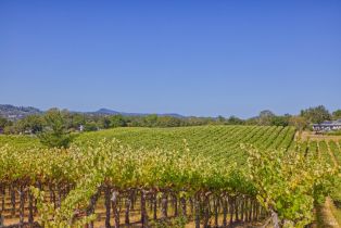 Agriculture,  Highway 12 none, Sonoma, CA 95476 - 15