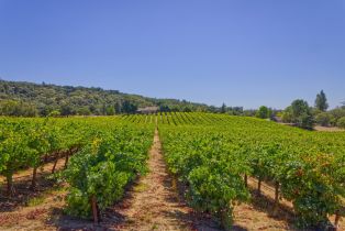 Agriculture,  Highway 12 none, Sonoma, CA 95476 - 12