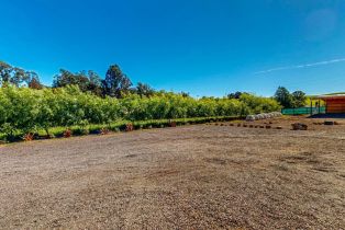 Single Family Residence, Western avenue, Petaluma, CA 94952 - 70