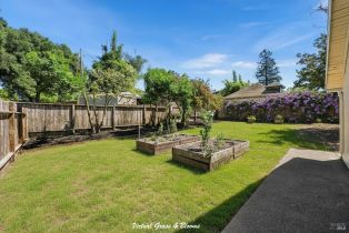 Single Family Residence,  F street, Petaluma, CA 94952 - 61