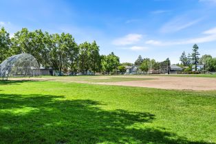 Single Family Residence,  F street, Petaluma, CA 94952 - 69