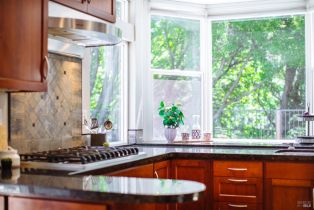 Single Family Residence, Spanish Bay court, Petaluma, CA 94954 - 18
