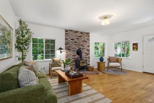 Single Family Residence, Ridgecrest drive, Russian River, CA 95446 - 8