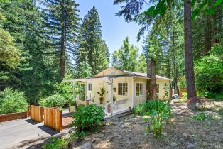 Single Family Residence, Ridgecrest drive, Russian River, CA 95446 - 2
