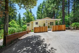 Single Family Residence, Ridgecrest drive, Russian River, CA 95446 - 4