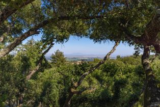 Single Family Residence, Grove street, Sonoma, CA 95476 - 36