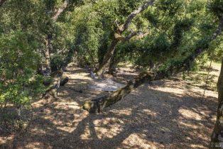Single Family Residence, Grove street, Sonoma, CA 95476 - 45