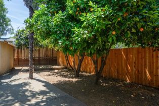 Single Family Residence, Allen avenue, Cloverdale, CA 95425 - 27