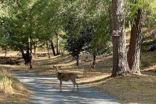 Residential Acreage,  Franz Valley School road, Calistoga, CA 94515 - 8