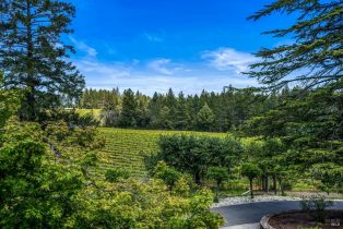 Single Family Residence, 629 Hill road, Angwin, CA 94508 - 6