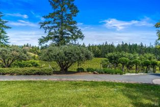 Single Family Residence, 629 Hill road, Angwin, CA 94508 - 4