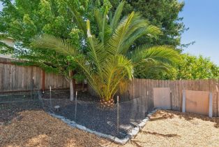 Single Family Residence, Tampico court, Petaluma, CA 94954 - 65