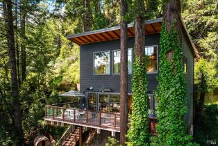 Single Family Residence, Old Monte Rio road, Russian River, CA 95446 - 49