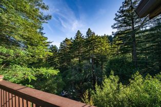 Single Family Residence, Canyon 4 road, Russian River, CA 95446 - 37