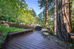 Single Family Residence, Canyon 4 road, Russian River, CA 95446 - 50