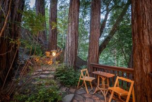 Single Family Residence, Canyon 4 road, Russian River, CA 95446 - 40