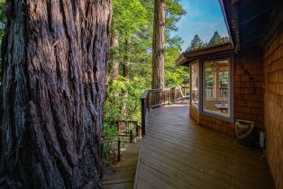 Single Family Residence, Canyon 4 road, Russian River, CA 95446 - 35