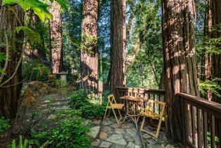 Single Family Residence, Canyon 4 road, Russian River, CA 95446 - 62