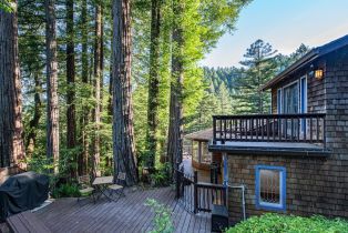 Single Family Residence, Canyon 4 road, Russian River, CA 95446 - 61