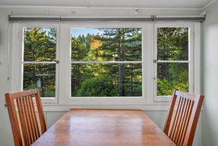 Single Family Residence, Canyon 4 road, Russian River, CA 95446 - 19