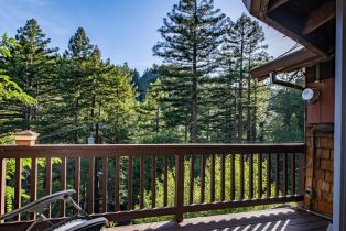 Single Family Residence, Canyon 4 road, Russian River, CA 95446 - 36