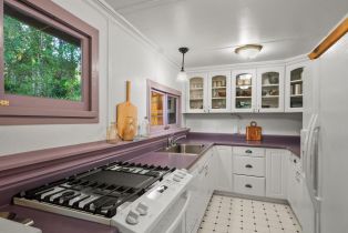 Single Family Residence, Canyon 4 road, Russian River, CA 95446 - 21