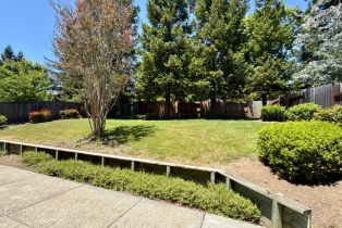 Single Family Residence, Mountain Hawk drive, Santa Rosa, CA 95409 - 19