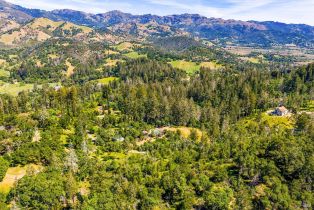 Single Family Residence, State Highway 128 highway, Calistoga, CA 94515 - 29