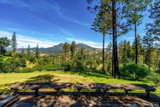 Single Family Residence, State Highway 128 highway, Calistoga, CA 94515 - 4