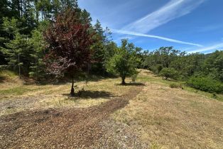 Residential Lot,  Cherry Creek road, Cloverdale, CA 95425 - 2