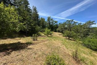 Residential Lot,  Cherry Creek road, Cloverdale, CA 95425 - 3