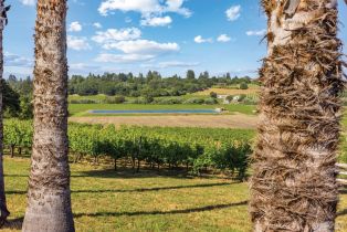 Single Family Residence, Ferguson road, Sebastopol, CA 95472 - 68