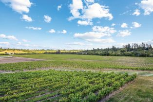 Single Family Residence, Ferguson road, Sebastopol, CA 95472 - 69