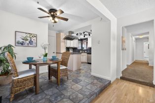 Single Family Residence,  Ely boulevard, Petaluma, CA 94954 - 15