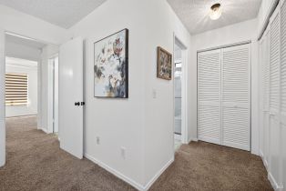 Single Family Residence,  Ely boulevard, Petaluma, CA 94954 - 26