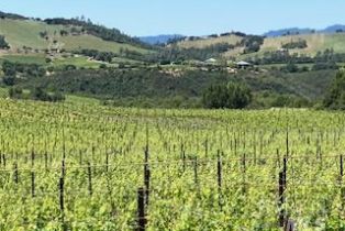 Commercial Acreage, Soda Canyon road, Napa, CA 94558 - 3