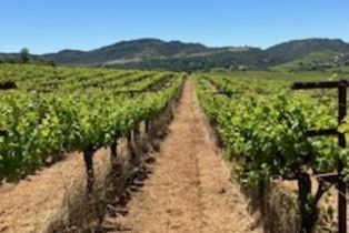 Land, 3585 Soda Canyon Rd, Napa, CA  Napa, CA 94558